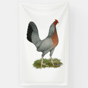 Golden Duckwing Hen Banner