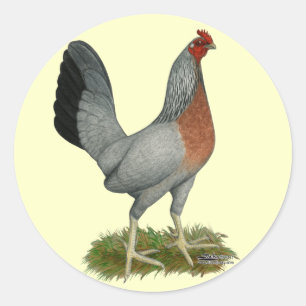 Golden Duckwing Hen Classic Round Sticker