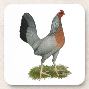 Golden Duckwing Hen Coaster