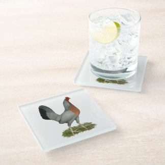 Golden Duckwing Hen Glass Coaster