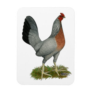 Golden Duckwing Hen Magnet
