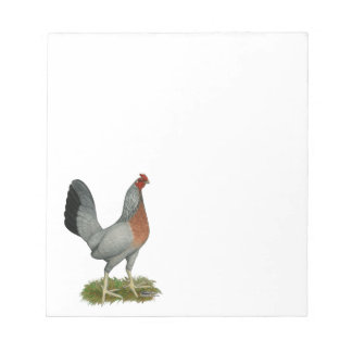 Golden Duckwing Hen Notepad