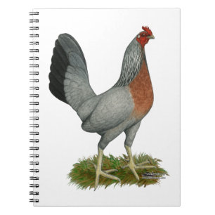 Golden Duckwing Hen Spiral Notebook