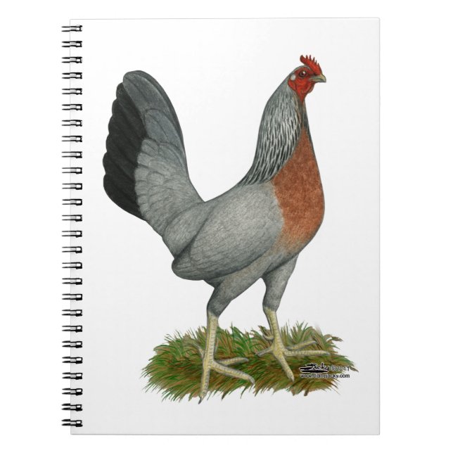 Golden Duckwing Hen Spiral Notebook (Front)