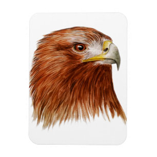 Golden Eagle 2011 Magnet