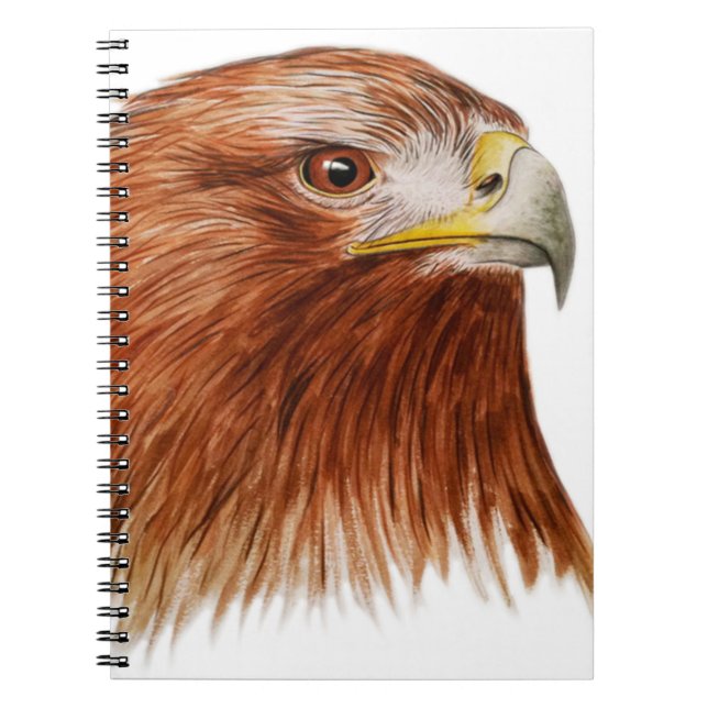 Golden Eagle 2011 Spiral Notebook (Front)