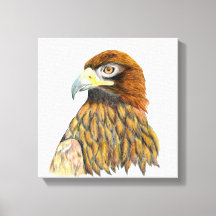 Golden Eagle Bird Watercolor Painting