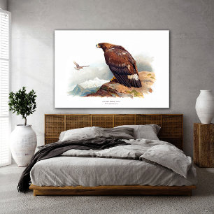 Golden Eagle Canvas Print