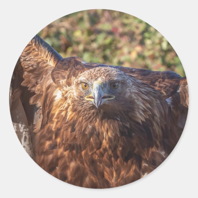 golden eagle classic round sticker (Front)