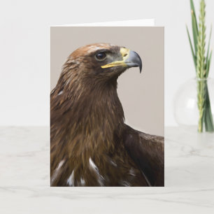 Golden eagle greeting card
