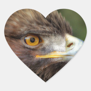 golden eagle heart sticker