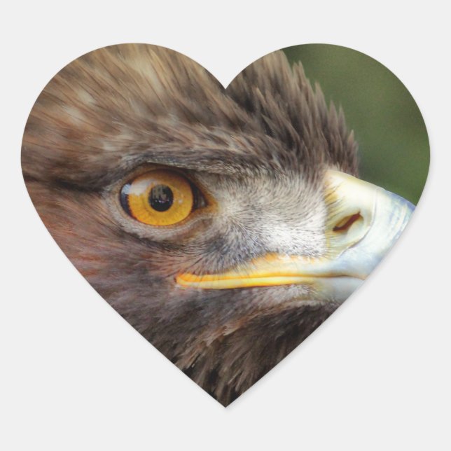 golden eagle heart sticker (Front)