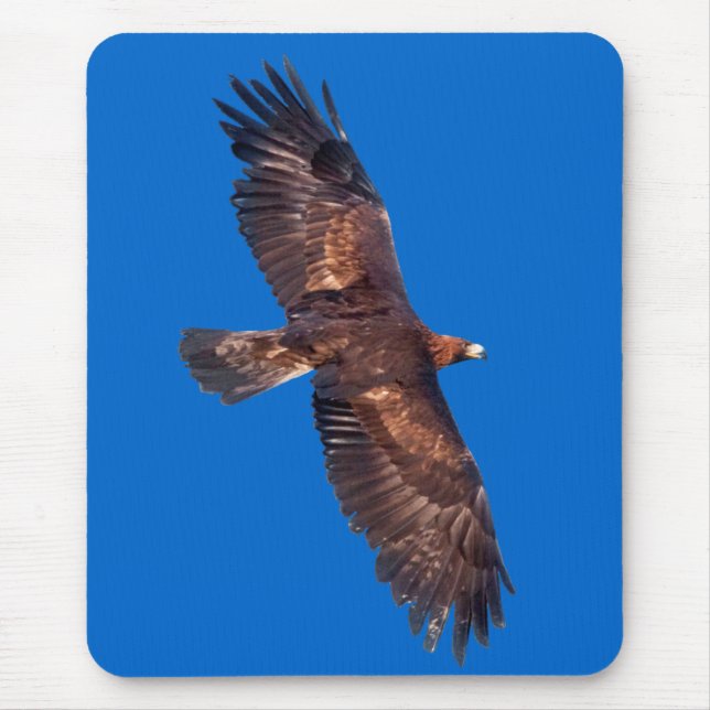 Golden Eagle in Flight Mousemat (Blue) (Front)