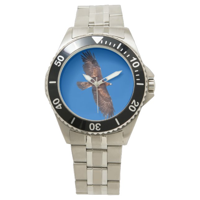 Golden Eagle in Flight Watch (Blue) (Front)
