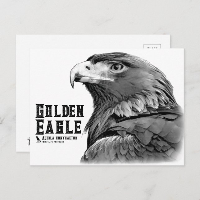 Golden Eagle Postcard (Front/Back)