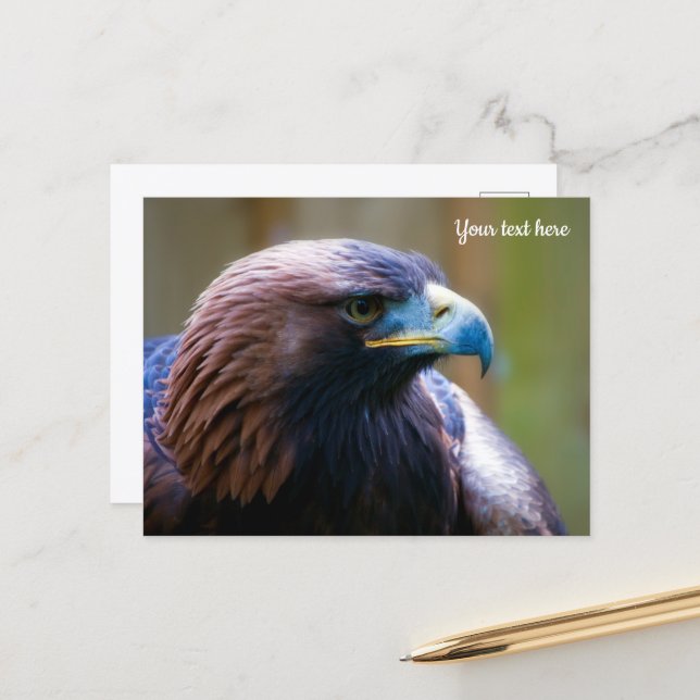 Golden Eagle Postcard (Front/Back In Situ)