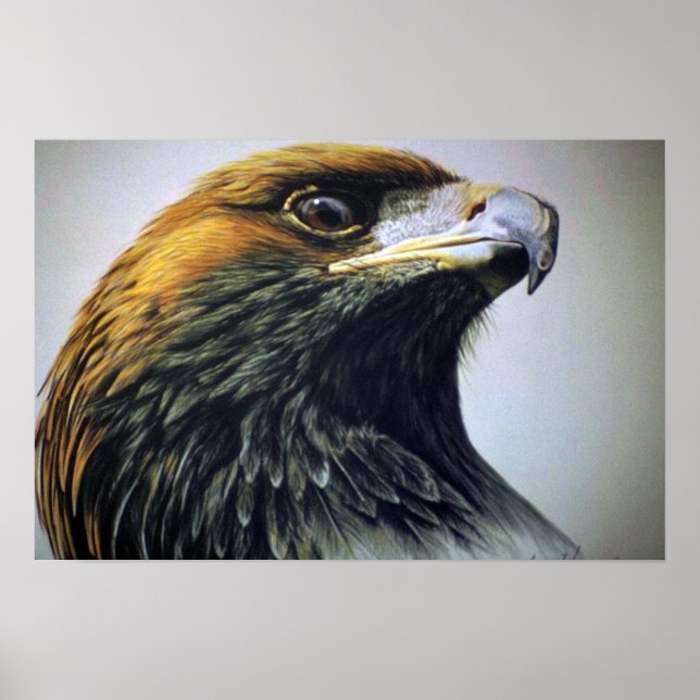 Golden Eagle Poster (Front)