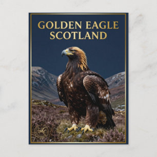 🦅 Golden Eagle Scotland Highland Bird Postcard