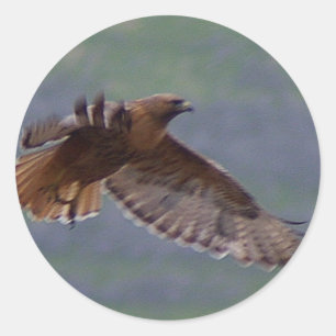 Golden Eagle sticker