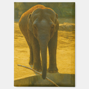 Golden Elephant Wisdom – Majestic Wildlife Magnet