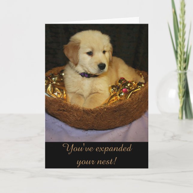 Golden Expanding the Nest New Addition Card (Front)
