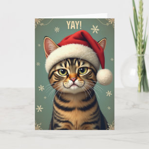 Golden Eye Cat Christmas Card