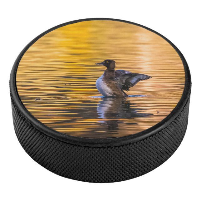 Golden eye on a golden lake hockey puck (3/4)