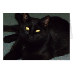 Golden eyes