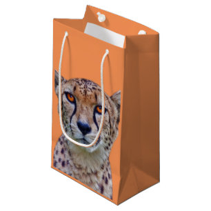 Golden Eyes Gift Bag