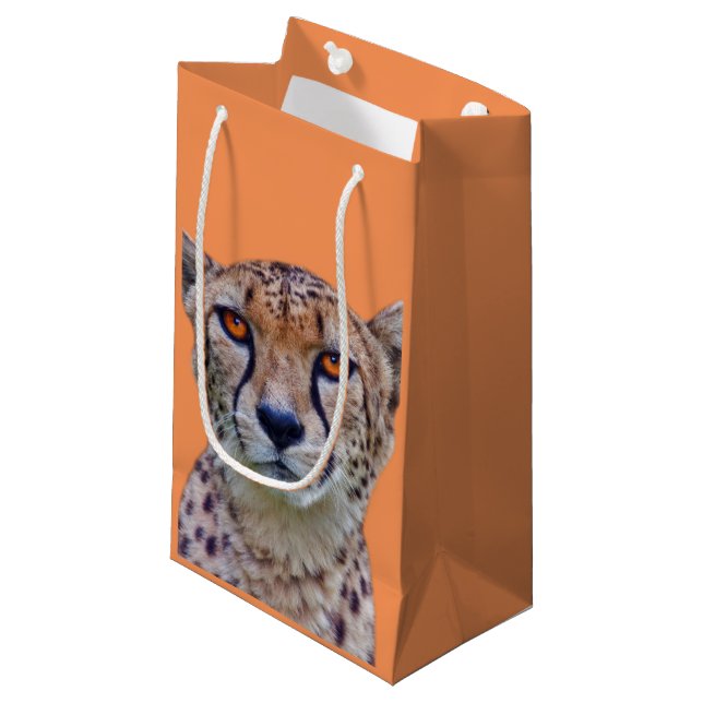 Golden Eyes Gift Bag (Front Angled)