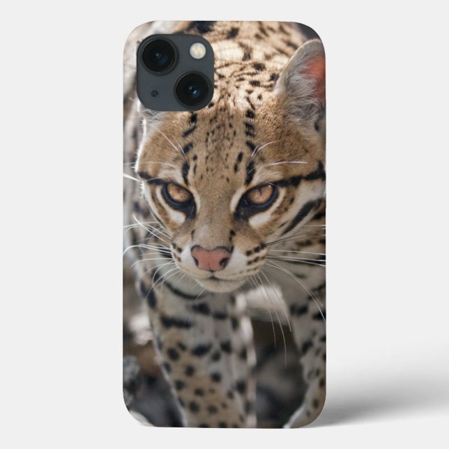 Golden Eyes iPad Mini Case (Back)