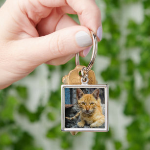 Golden Eyes Key Ring