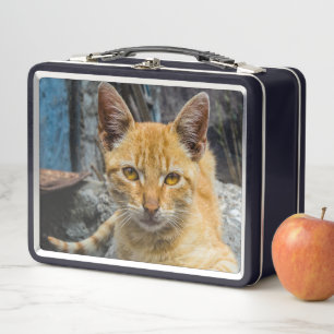 Golden Eyes Metal Lunch Box