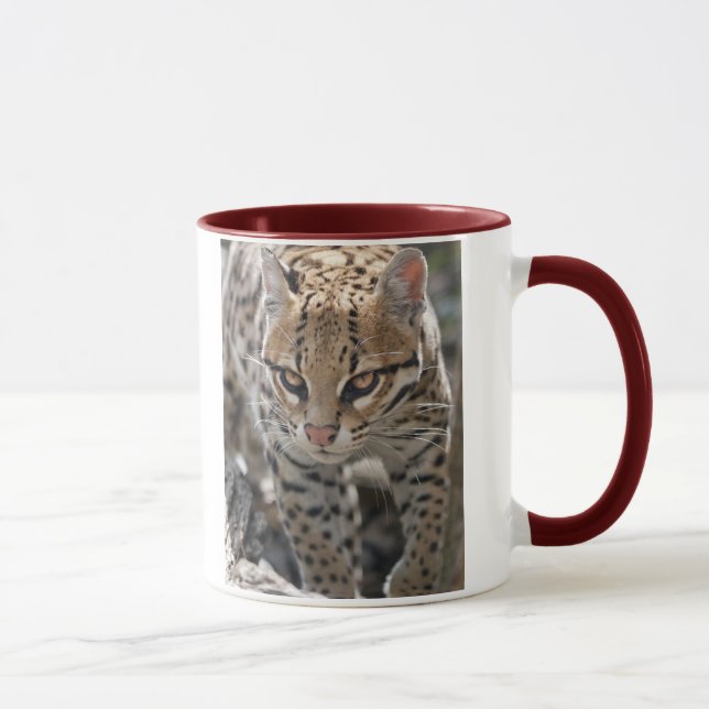 Golden Eyes Mug (Right)