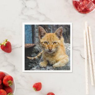 Golden Eyes Napkin