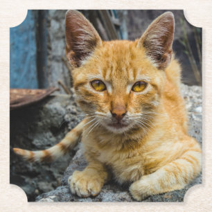 Golden Eyes Paper Coaster