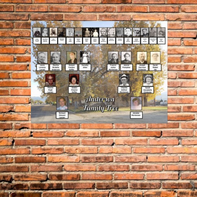 Golden Fall Trees 4 Generation Family Tree Poster (Creator Uploaded)