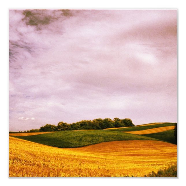 Golden Farmland Photo Print (Front)