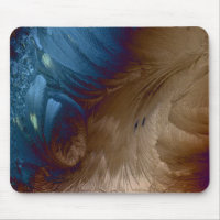 Golden Feathers
