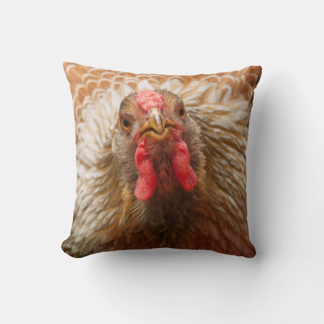 Golden Feathers - Wynadotte Chicken Hen Cushion (Front)