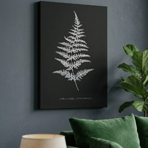 Golden Fern Frond, Gymnogramma Chrysophylla Canvas Print