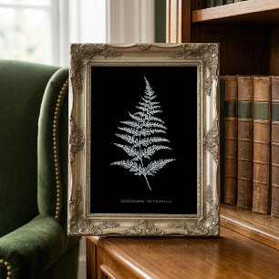 Golden Fern Frond, Gymnogramma Chrysophylla Photo Print