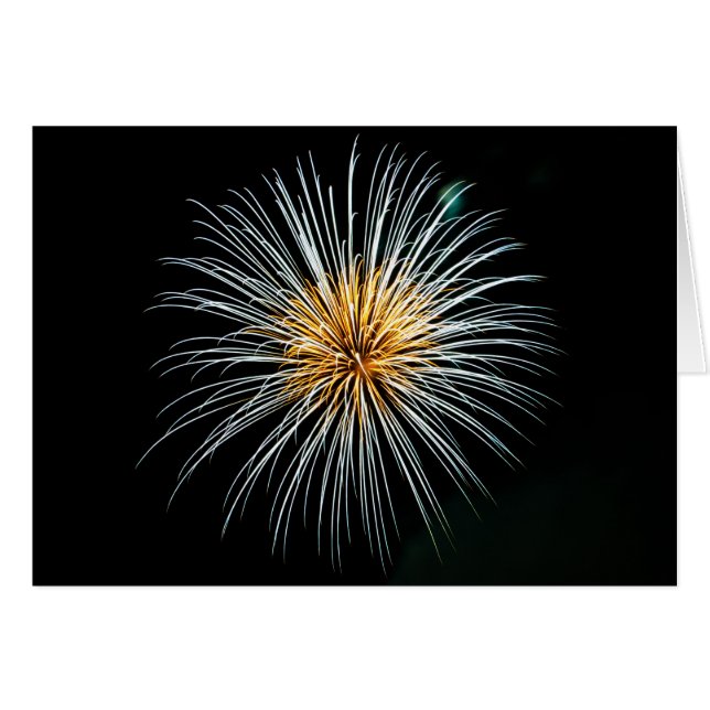 Golden Fireworks (Front Horizontal)