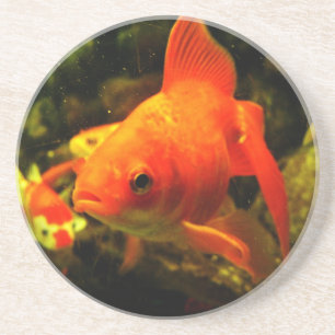 Golden fish coaster