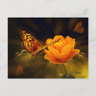 Golden Flying Butterfly Postcard