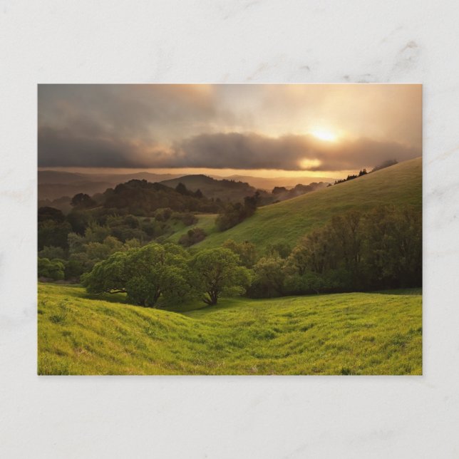 Golden Foggy Sunset, California Postcard (Front)