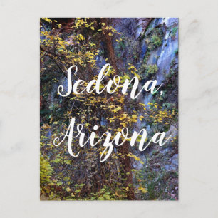 Golden foliage in Sedona ,Arizona Postcard