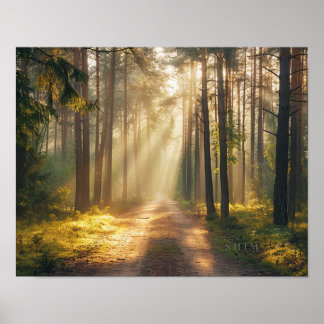 Golden Forest Morning Light Wall Art Poster