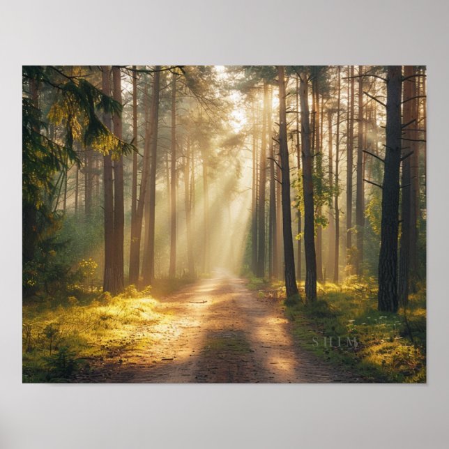 Golden Forest Morning Light Wall Art Poster (Front)