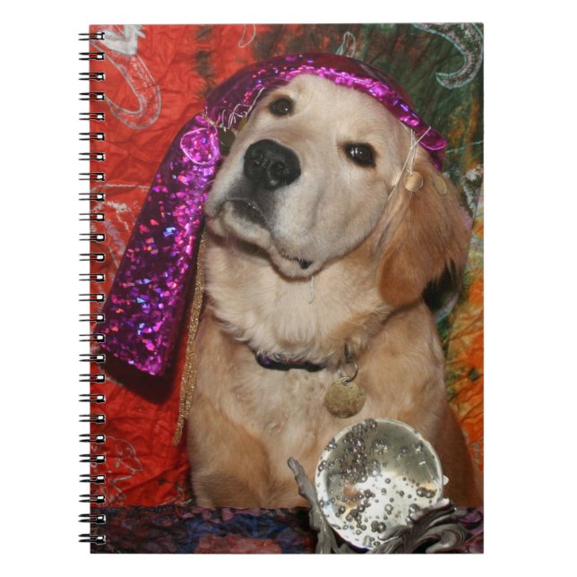 Golden Fortune Teller Spiral Notebook (Front)